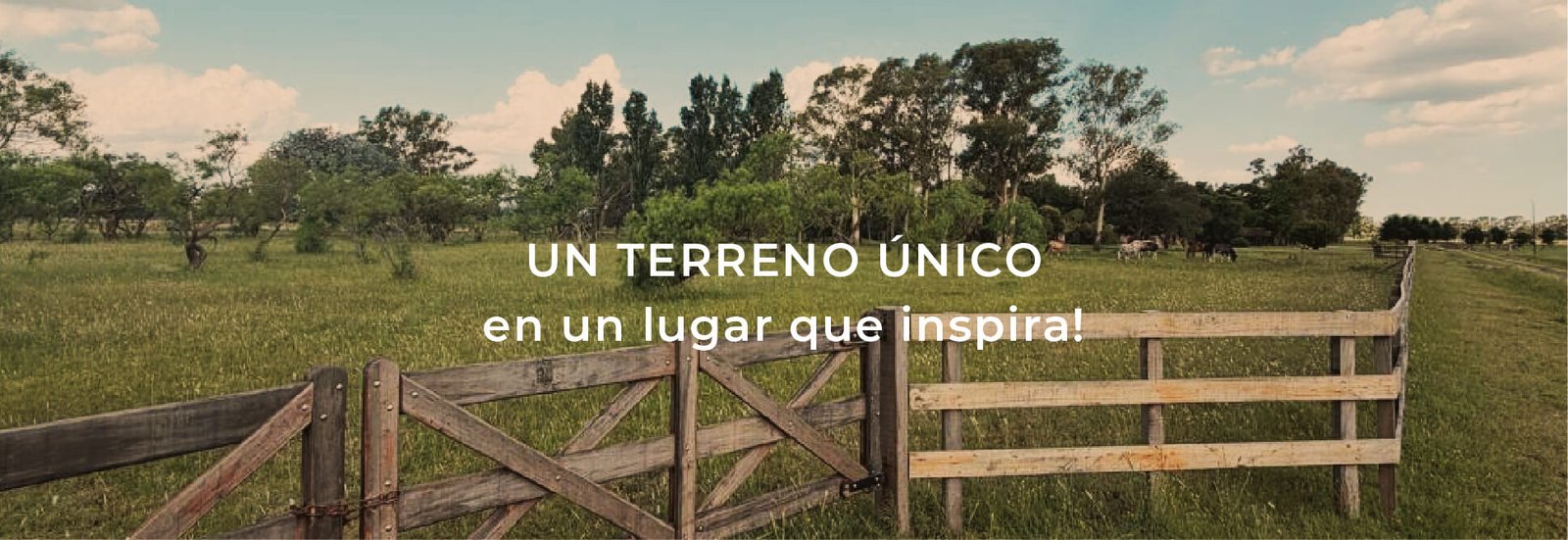 Banners-02