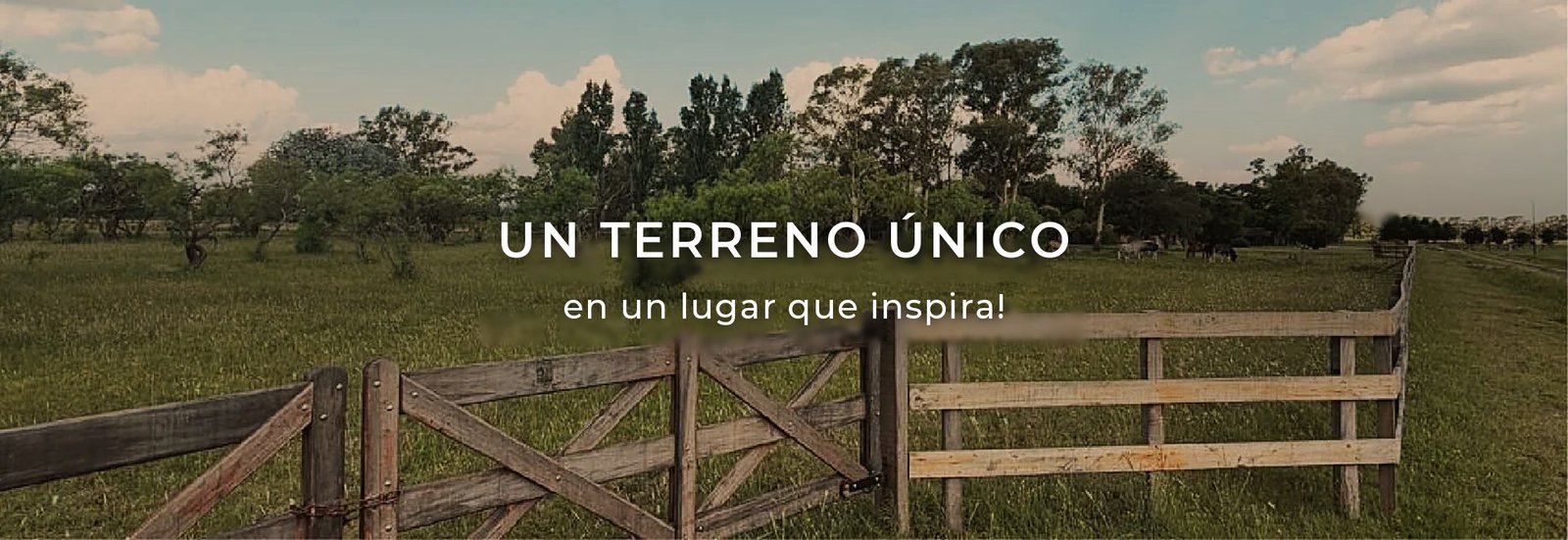 04-terreno-unico-desktop