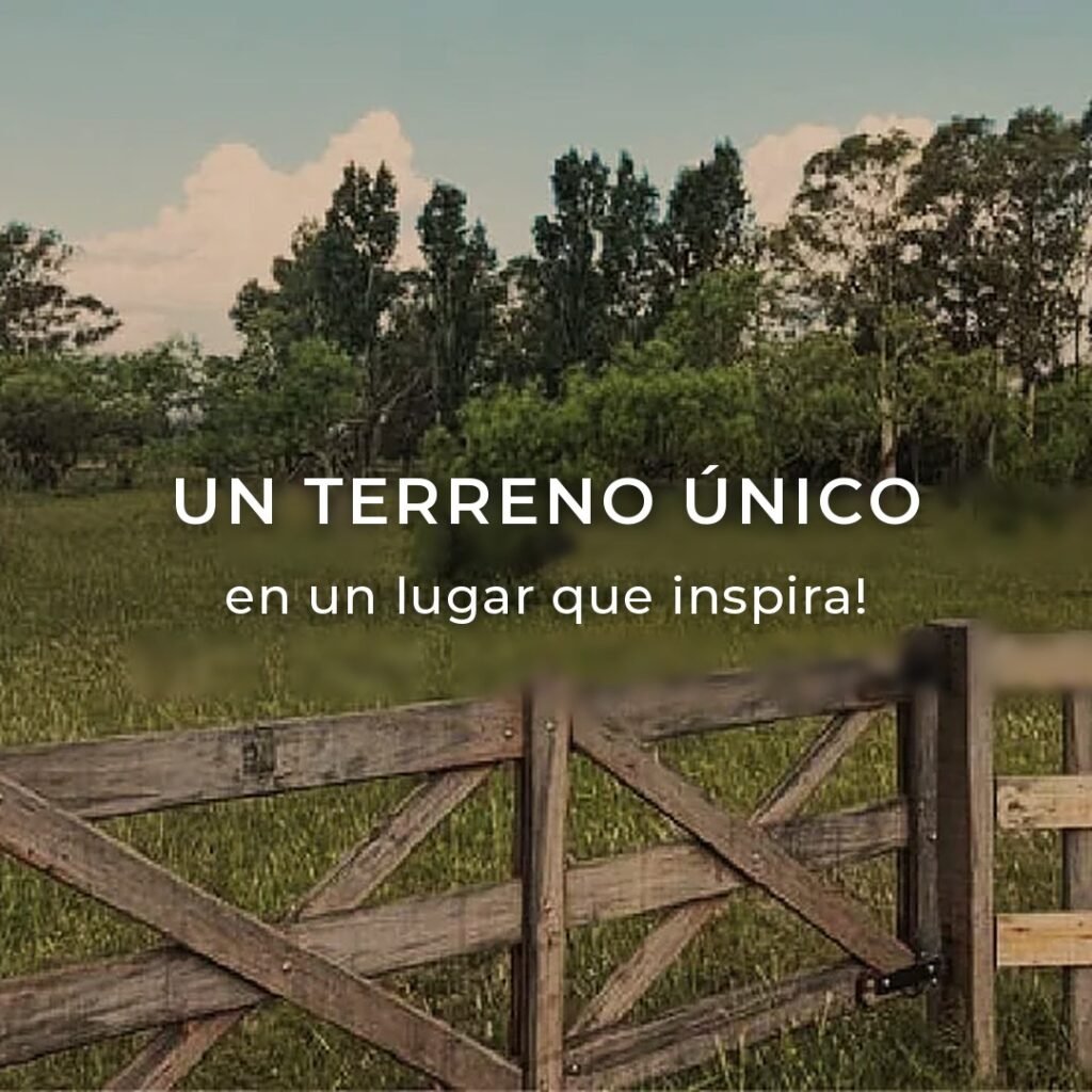 04-terreno-unico-mobile